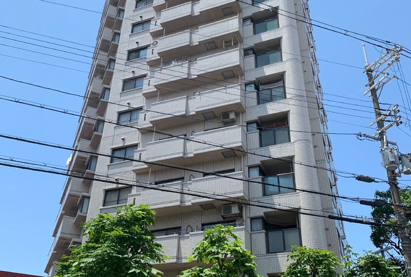 画像264